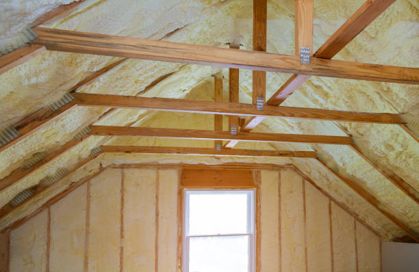 Best Insulation Contractors for Homes  in Cedar Rapids, IA